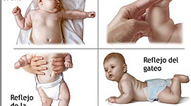 Timeline: Desarrollo del lenguaje y reflejos en niños de 0 a 3 años de edad