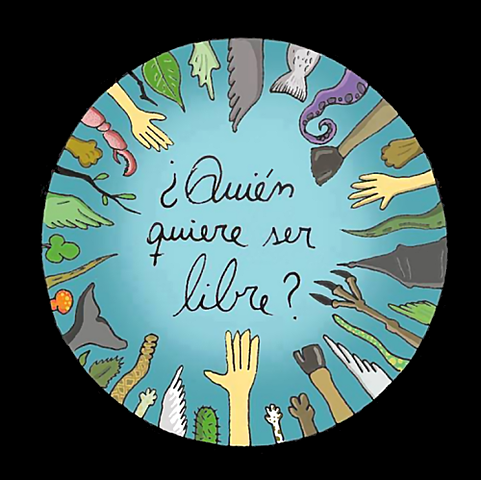 La Orientación en Estados Unidos