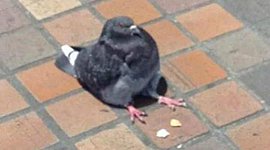 Timeline: Artefactos Tecnológicos