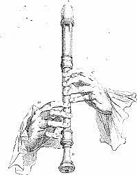 faig flauta a l' escola