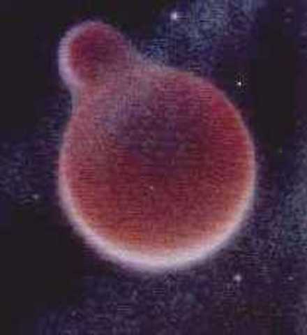 Frank Bursley Taylor