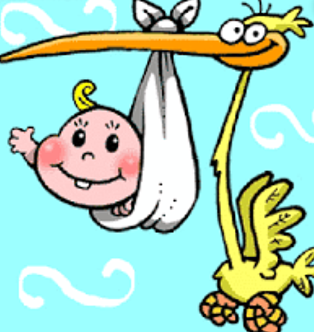 Naixement Àlex Davant