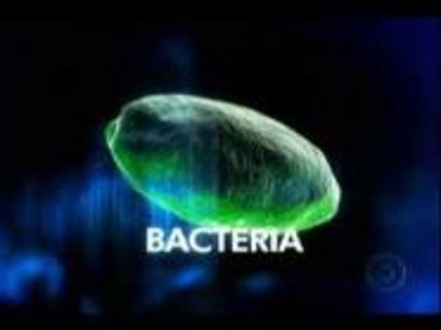 se transfierer el genoma natural de una bacteria,