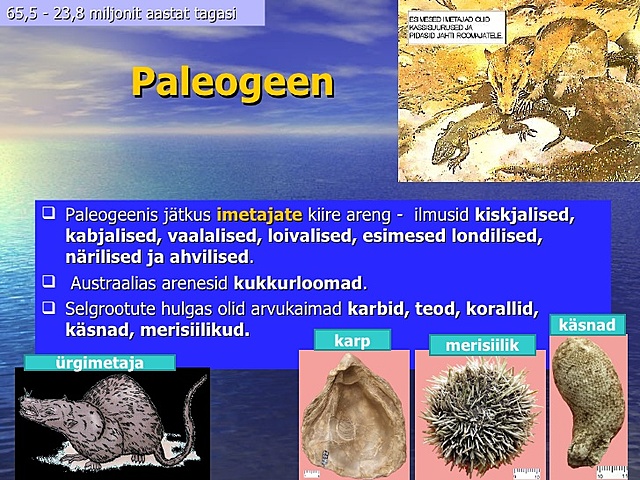 Paleogeen