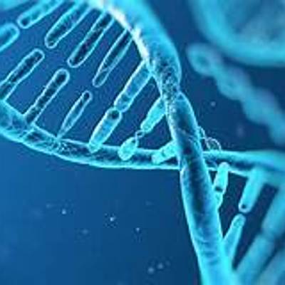 Timeline: Història de la cèl.lula: Kevin, Mercé, Arnau i Gerard