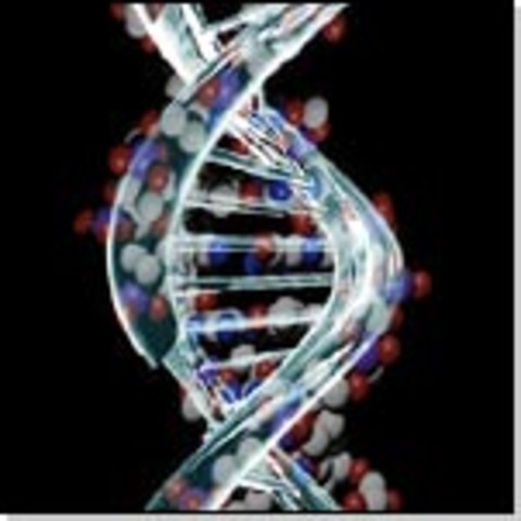 Incia el proyecto genoma humana.