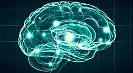 Timeline: Neuropsicología en el tiempo