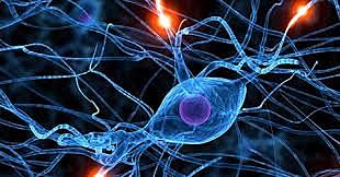 Primera publicación científica