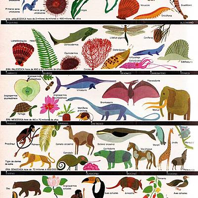 Timeline: Eras Geológicas