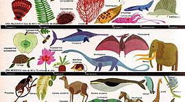 Timeline: Eras Geológicas