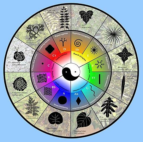 Inicio de la difusión del taoísmo.  500 aC.