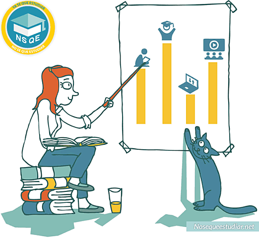 Organización de la gestión