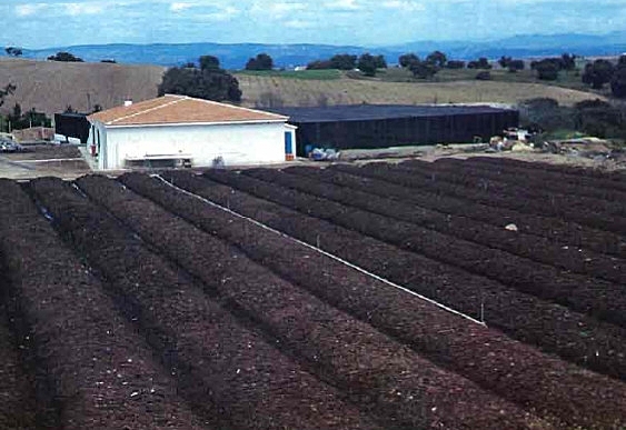 Fortalecimiento de la lombricultura en los países desarrollados