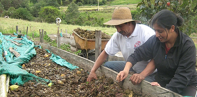 Lombricultura en Colombia