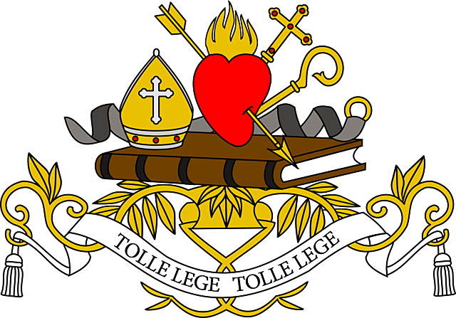 Alta edad Media - Orden de San Agustin