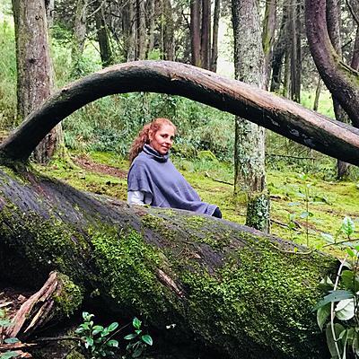 Timeline: Yolanda Ocampo