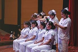 Modelo de Enfermeria Etapa Profesional