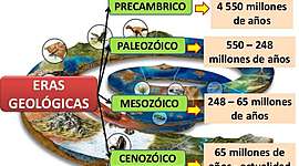 Timeline: Eras Geológicas