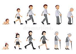 Teoría psicosocial - Erick Erickson