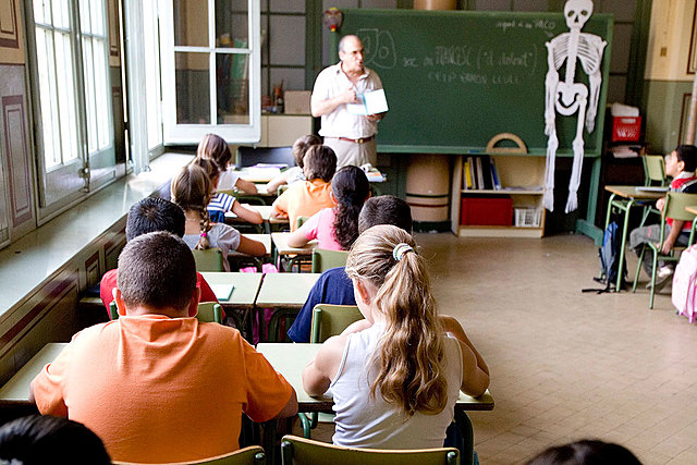 Sistema de enseñanza básica