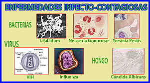 FACTORES INDOLE SUCIO- SANITARIO