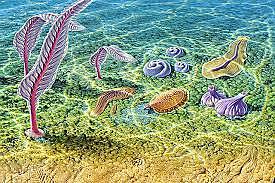 Proterosoikum ehk agueoon