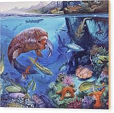 Paleosoikum ehk vanaaegkond