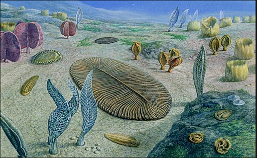 Mitmerakuliste organismide teke