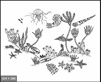 Ordoviitsium ja esimesed maismaataimed