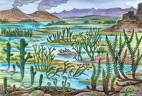 Esimesed maismaataimed