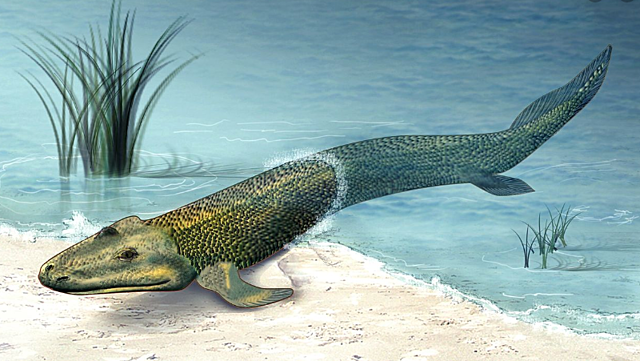 Devon- Esimesed metsad ja kahepaiksed