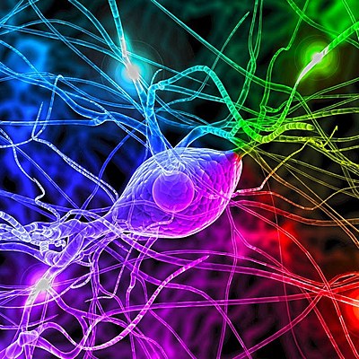 Timeline: MICROBIOLOGIA