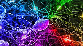 Timeline: MICROBIOLOGIA