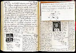 publicación del diario