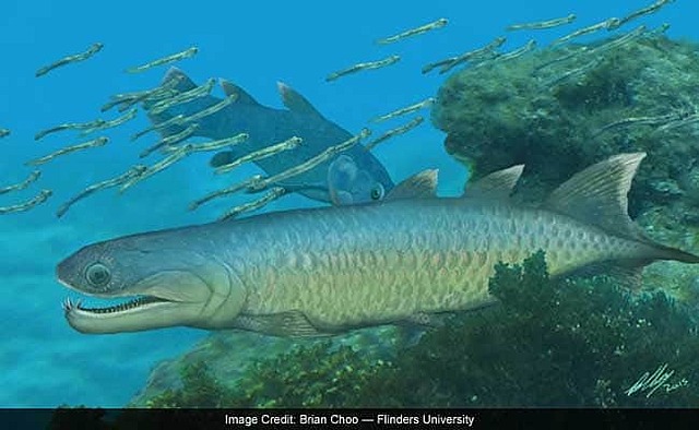 Kambrium-esimesed kalad