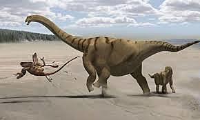 Kriit - Esimesed roomajad