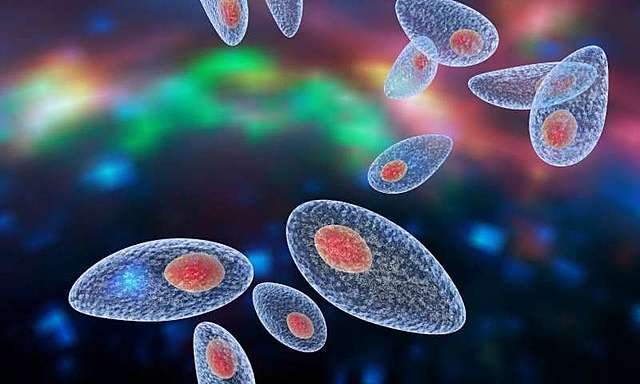 Reports come in from Virginia