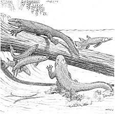 Esimesed kahepaiksed