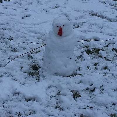 Timeline: Feske test 1