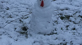 Timeline: Feske test 1