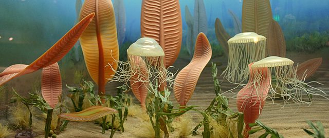 PRECÁMBRICA (PERIODO ARQUEZOICO- PROTEROZICO)