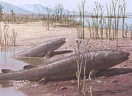 Era Paleozoica
