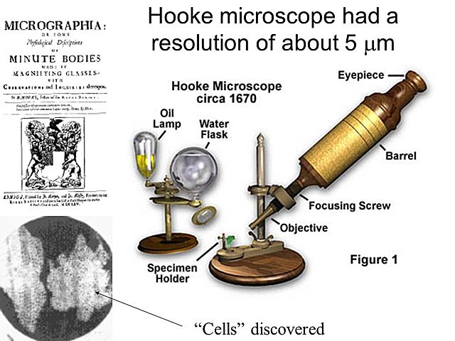 Microscope
