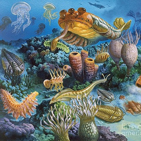PALEOZOICA (CÁMBRICO-ORDOVÍCICO-SILÚRICO-DEVÓNICO-CARBONÍFERO-PÉRIMICO)