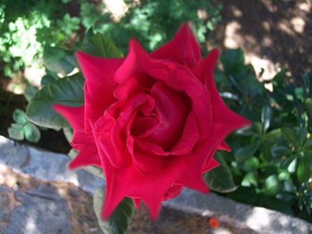 Ley de Prevención de riesgos laborales