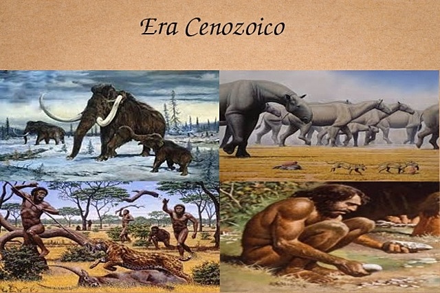 ERA CENOZOICA