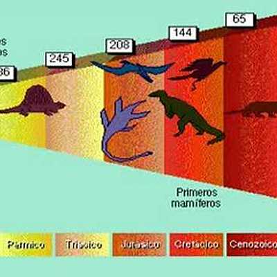 Timeline: LAS ERAS GEOLOGICAS