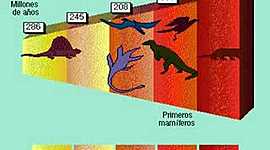 Timeline: LAS ERAS GEOLOGICAS