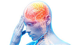 Timeline: neuropsicologia