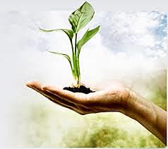 Política Integral de Salud Ambiental